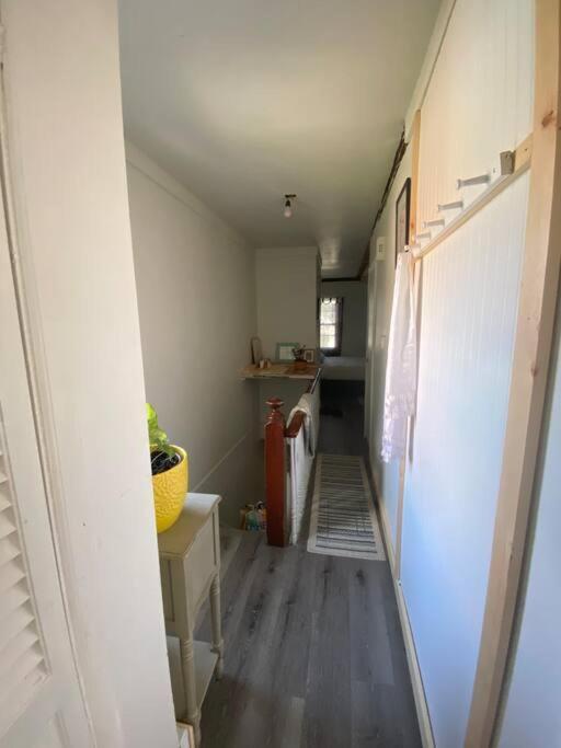 Studio Apt W Garden Kingston Exterior foto