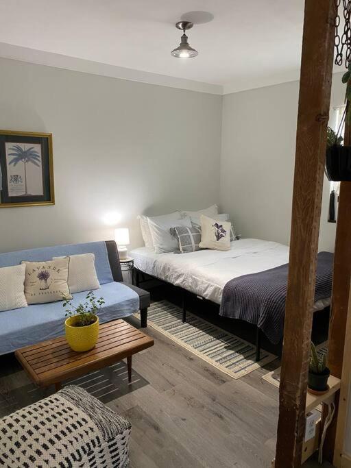 Studio Apt W Garden Kingston Exterior foto